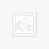 عنصر نائب Placeholder